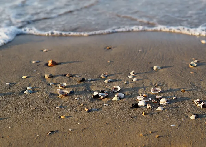 Homely Flat With Private Garden And Common Pool Bibione